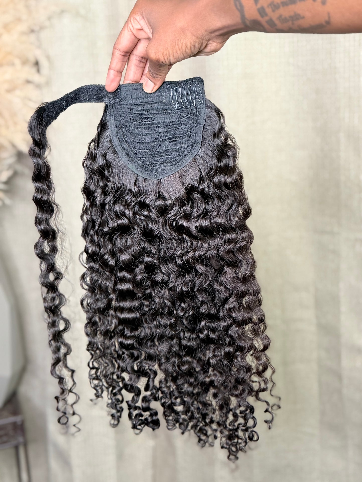 Burmese Curly