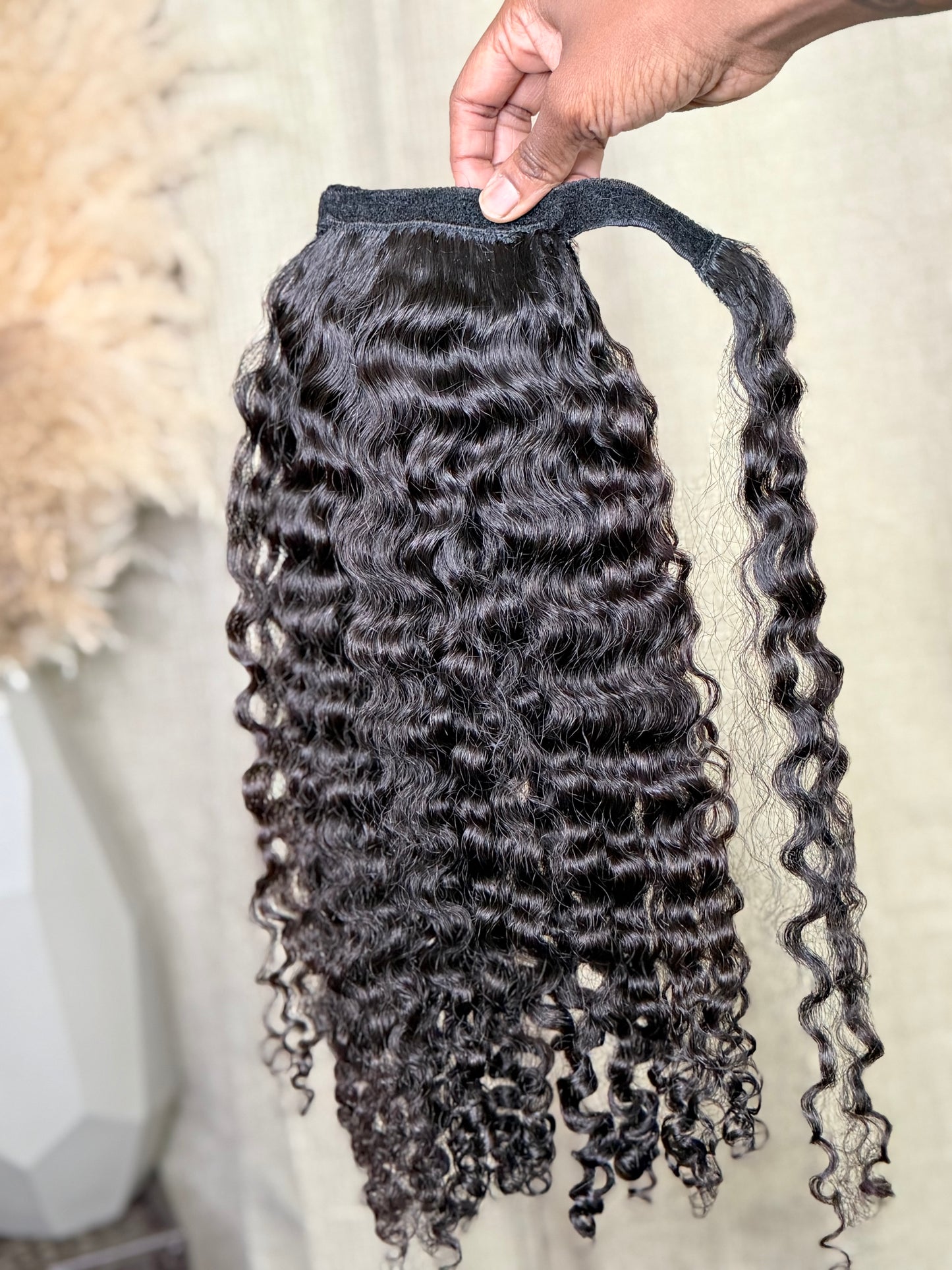 Burmese Curly